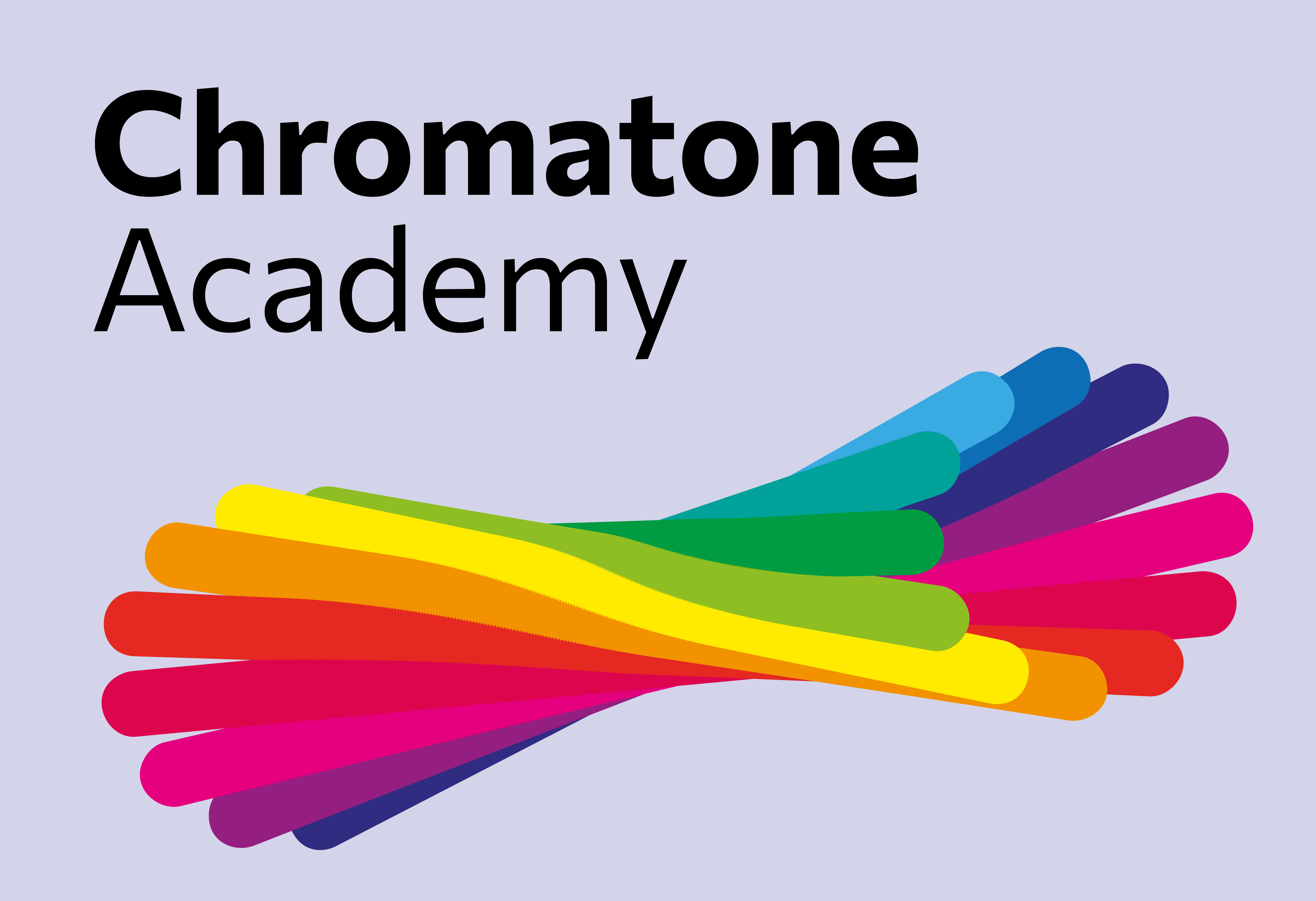 Chromatone Center project